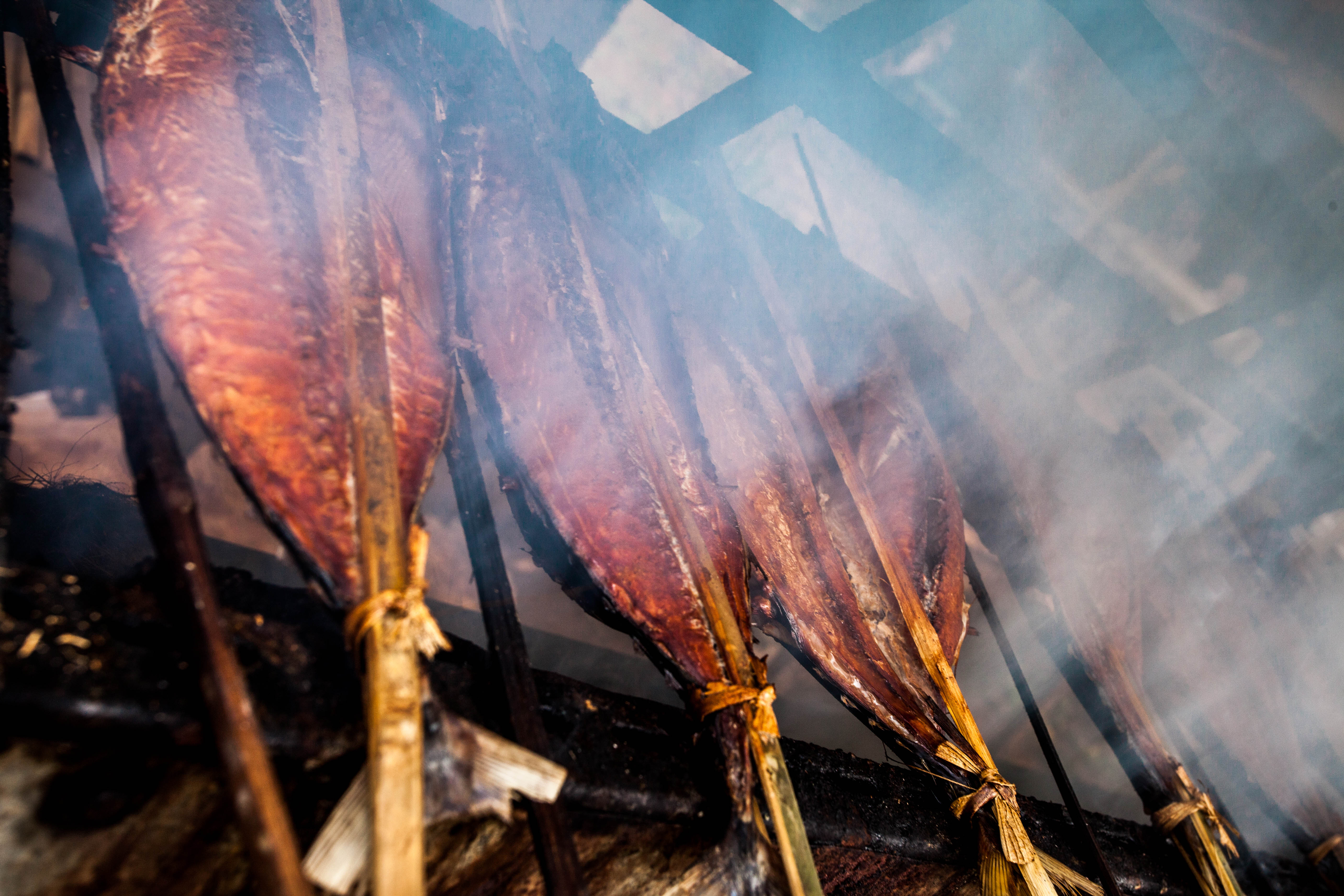 smoked skipjack tuna tied onto wooden poles, smoke obscures half of the picture