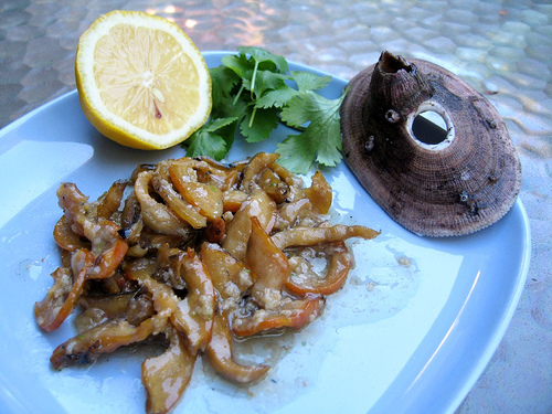 cooked wavy turban snail, lemon, and garnish