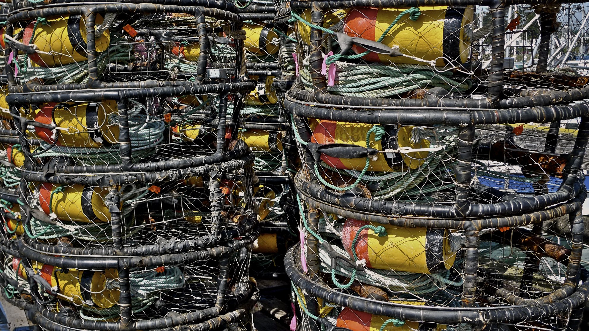 crab traps stacked on top of each other