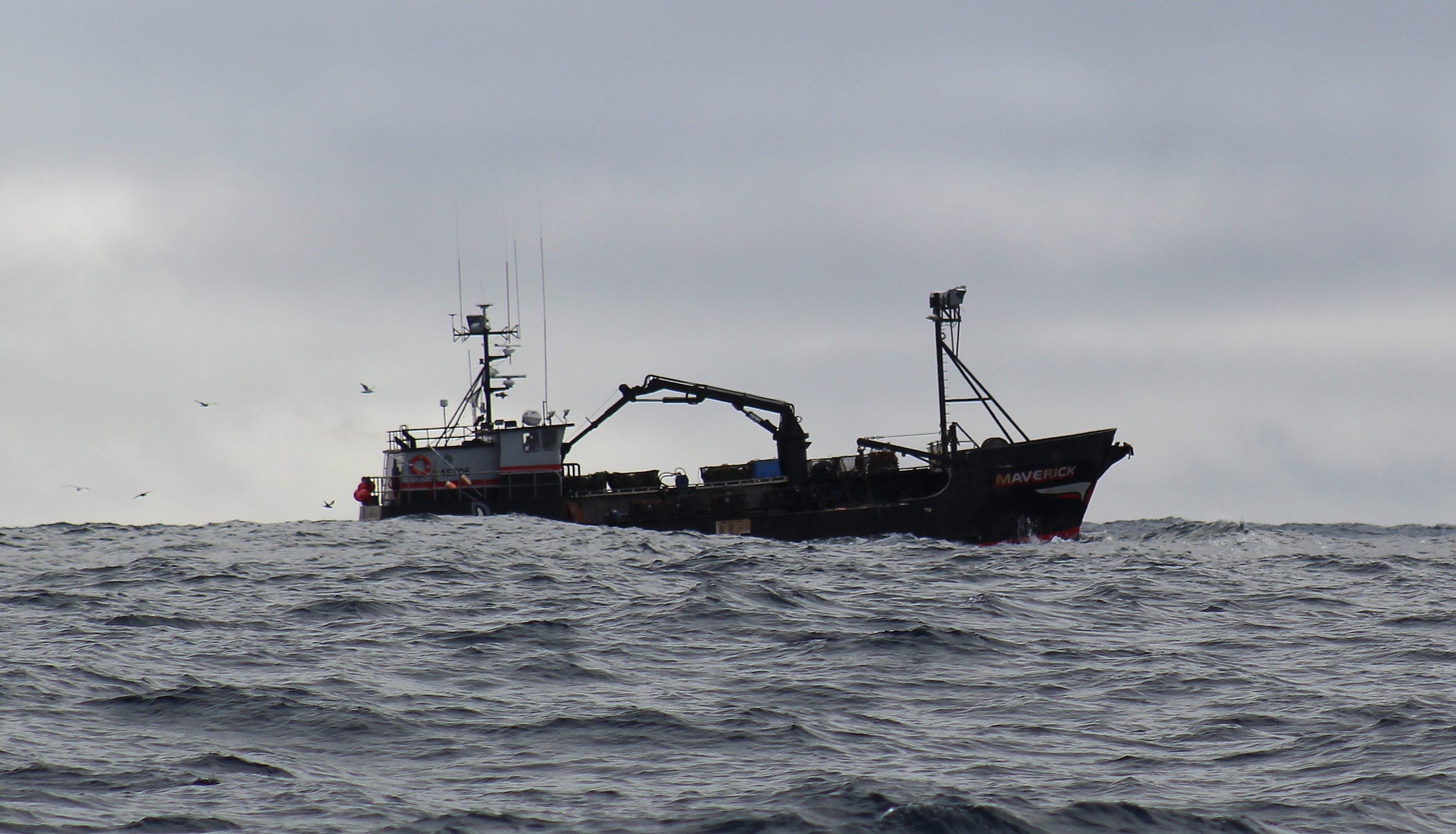 pelagic longline fishing vessel 