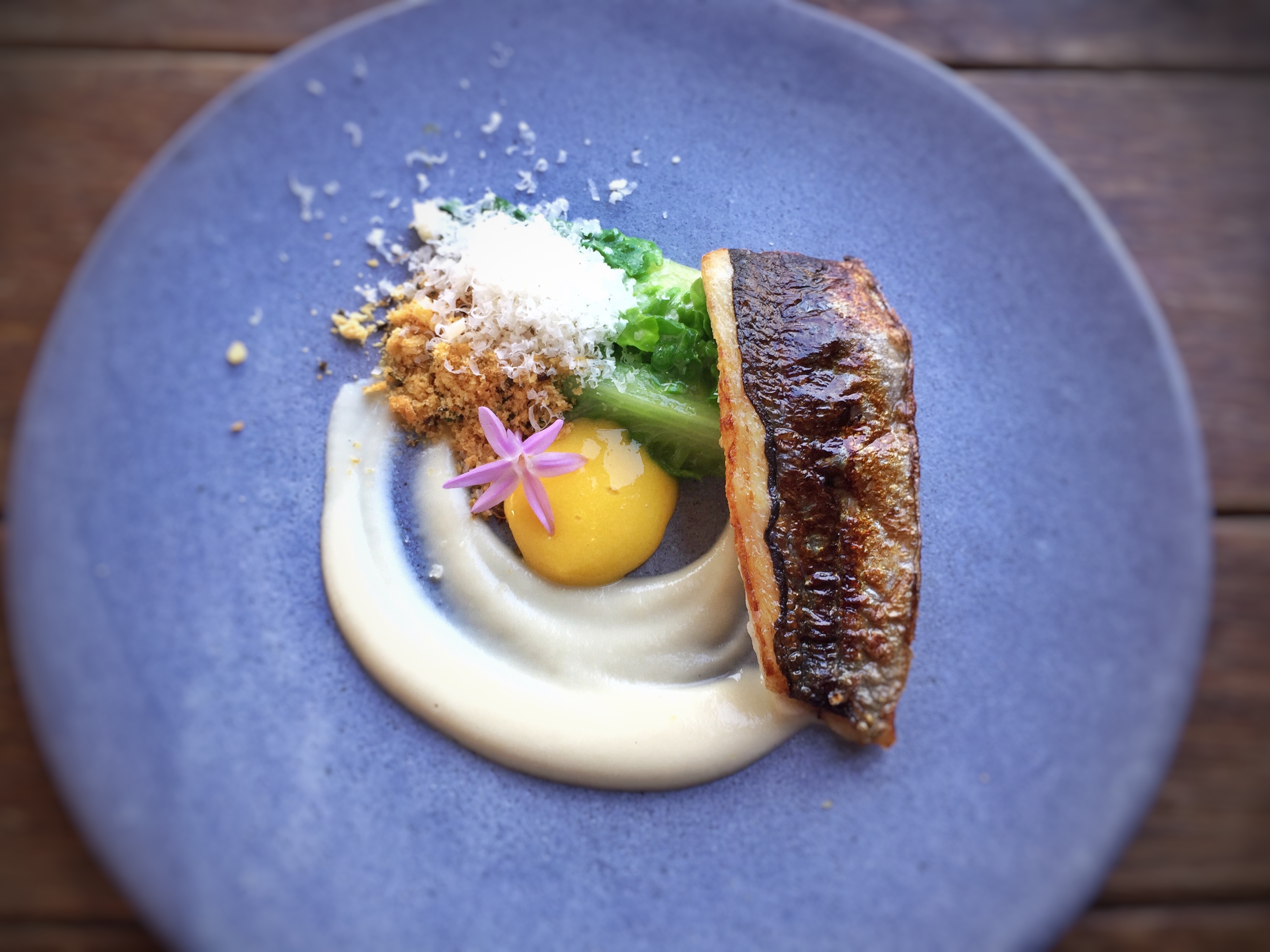 Jack mackerel fillet with egg yolk, creamy sauce, and romaine lettuce garnish