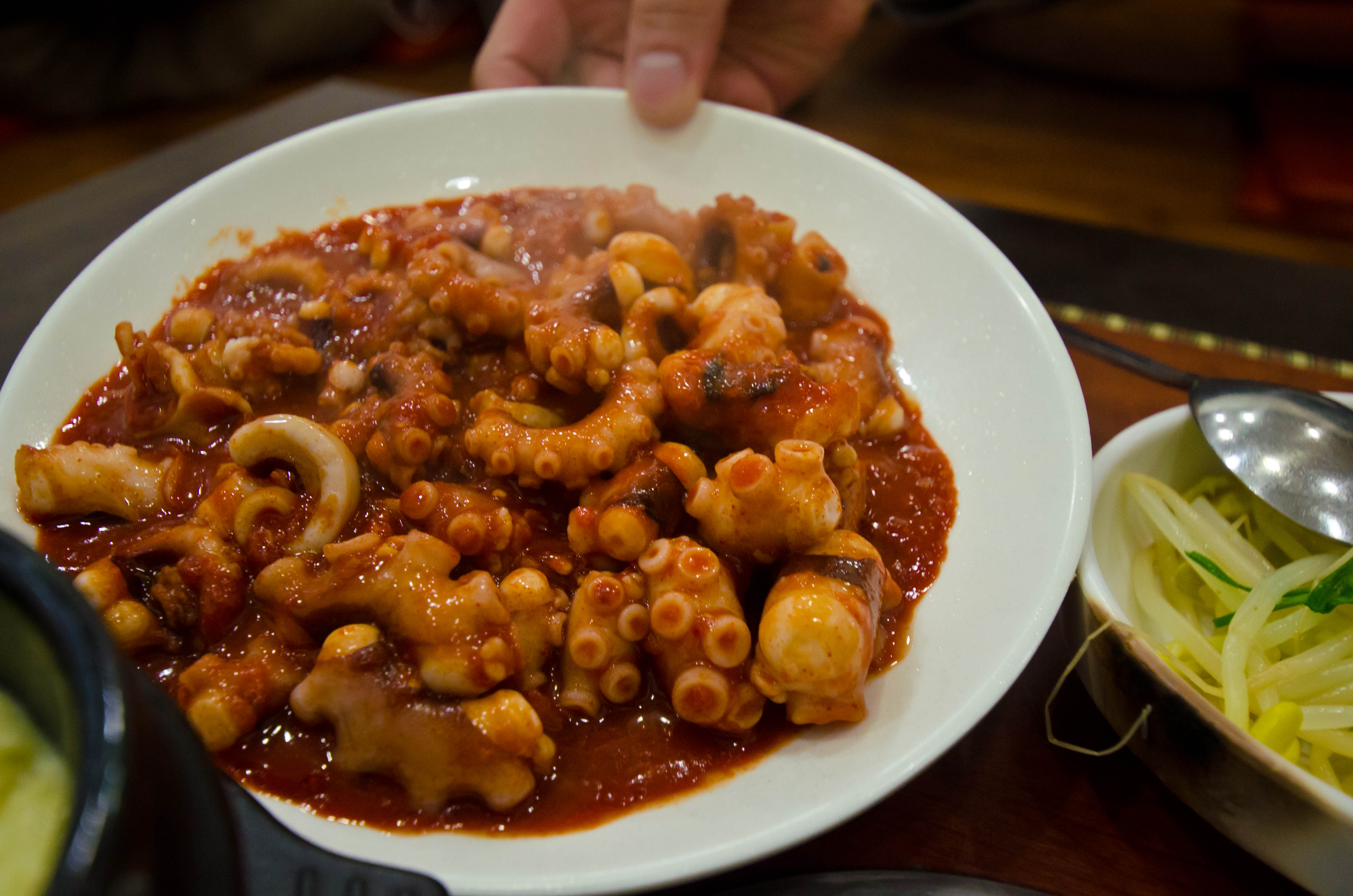 cooked octopus in red sauce with bean sprouts on the side