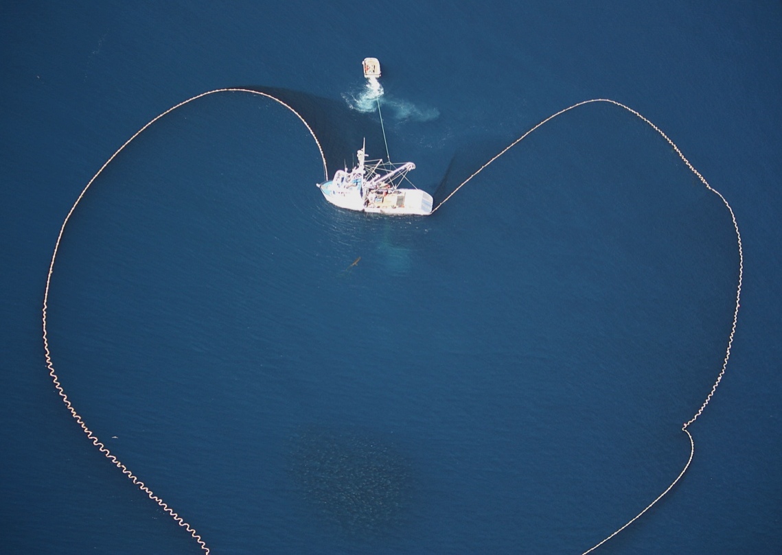 overhead photo of fishing boat with net