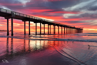 Mark Whitt Photography. A photo overlooking Scripps Pier in La Jolla, San Diego taken at Sunset.