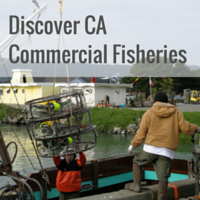 Discover CA Commercial Fisheries