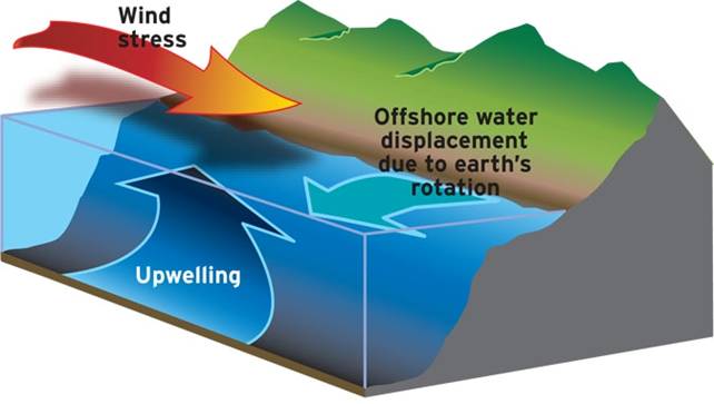 diagram of how wind causes upwelling