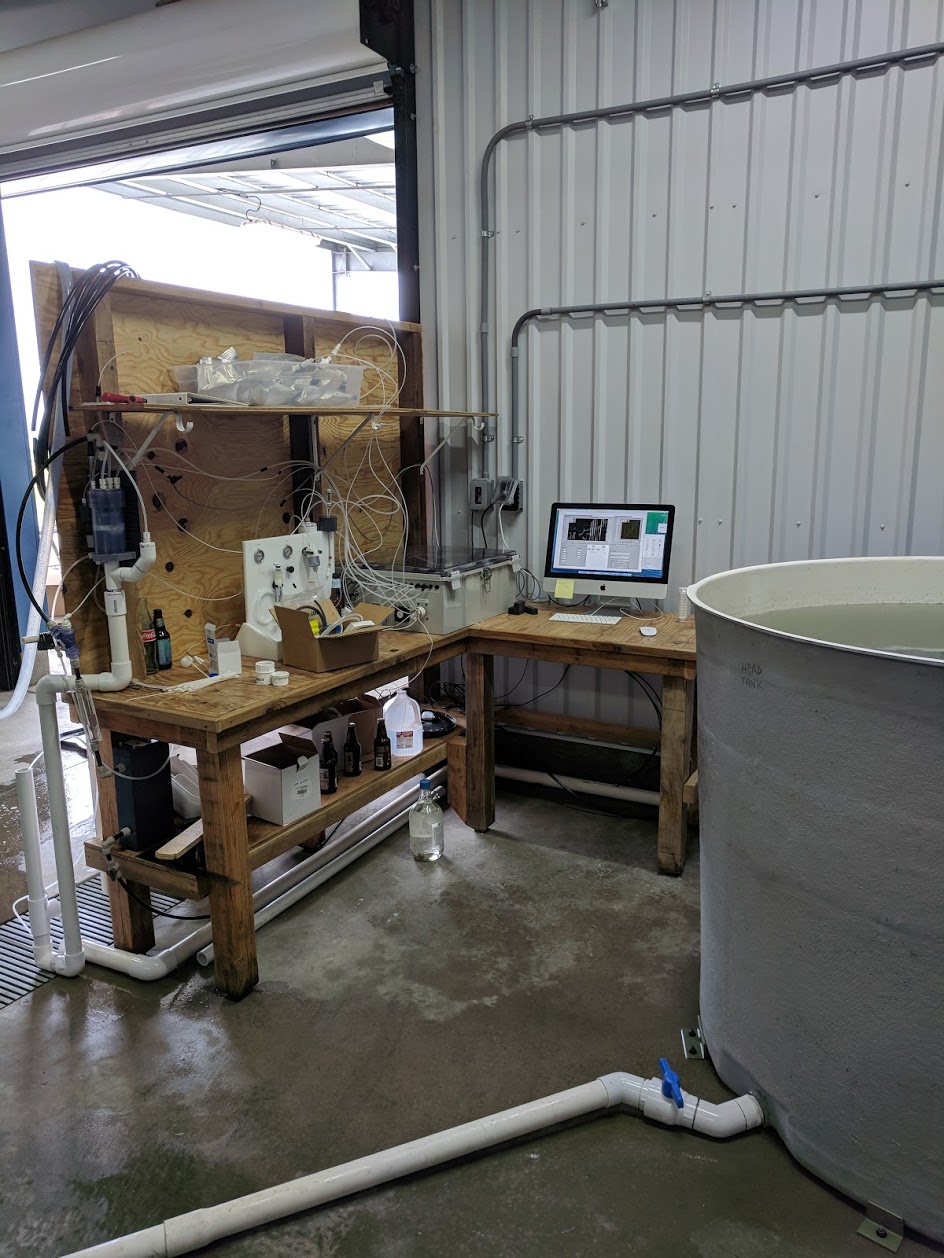 Burke-o-Lator setup in the Hog Island Oyster Company hatchery 