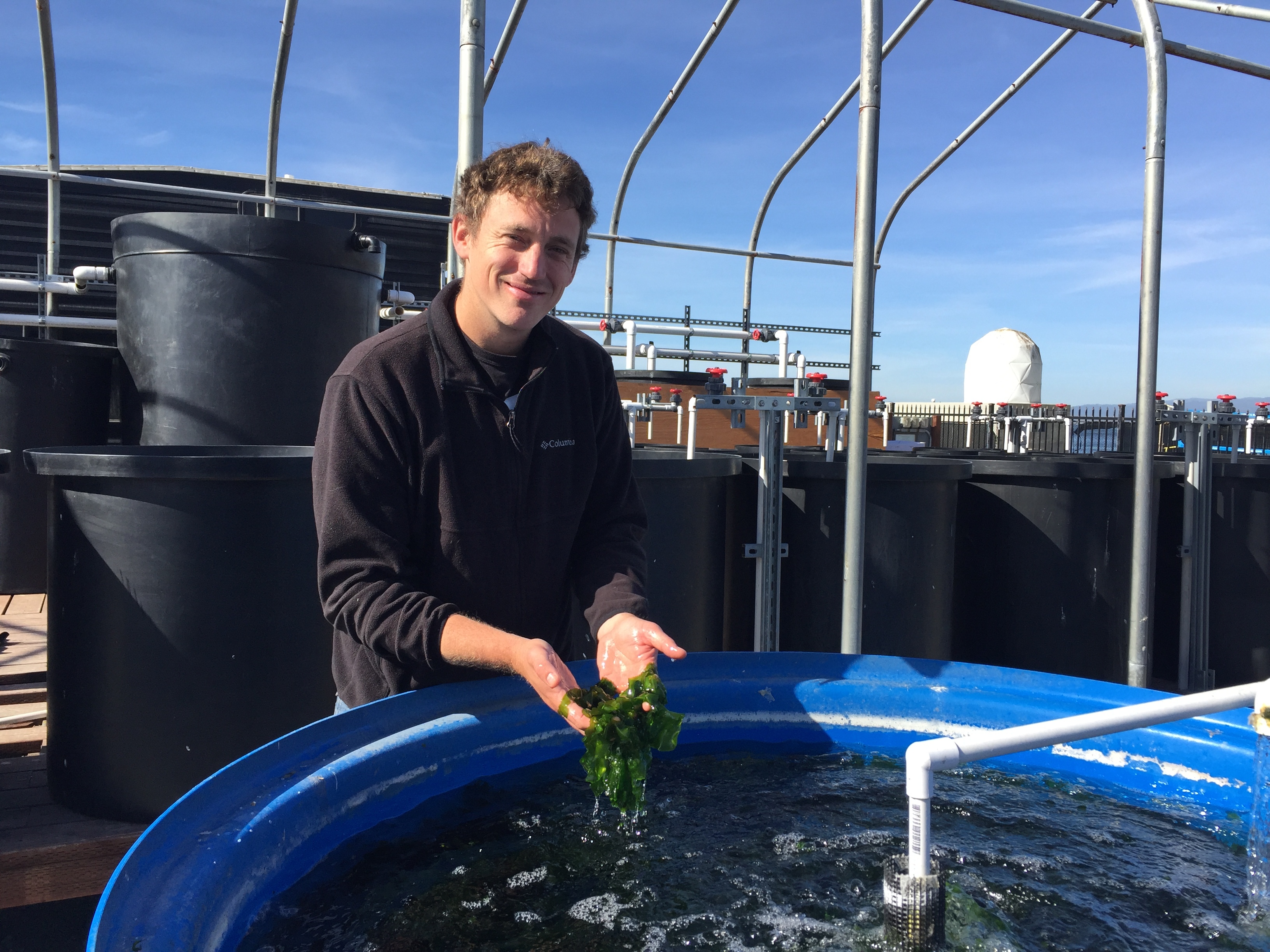 Luke Gardner holds seaweed in front of a tumble culture