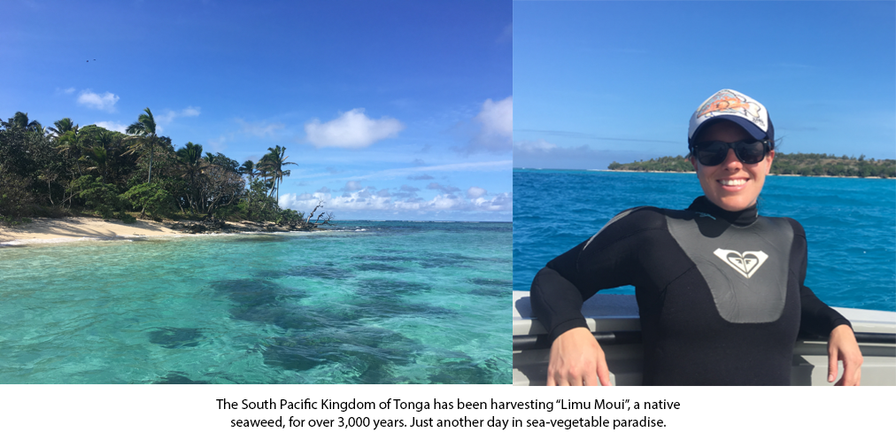 Heather Kramp in Tonga