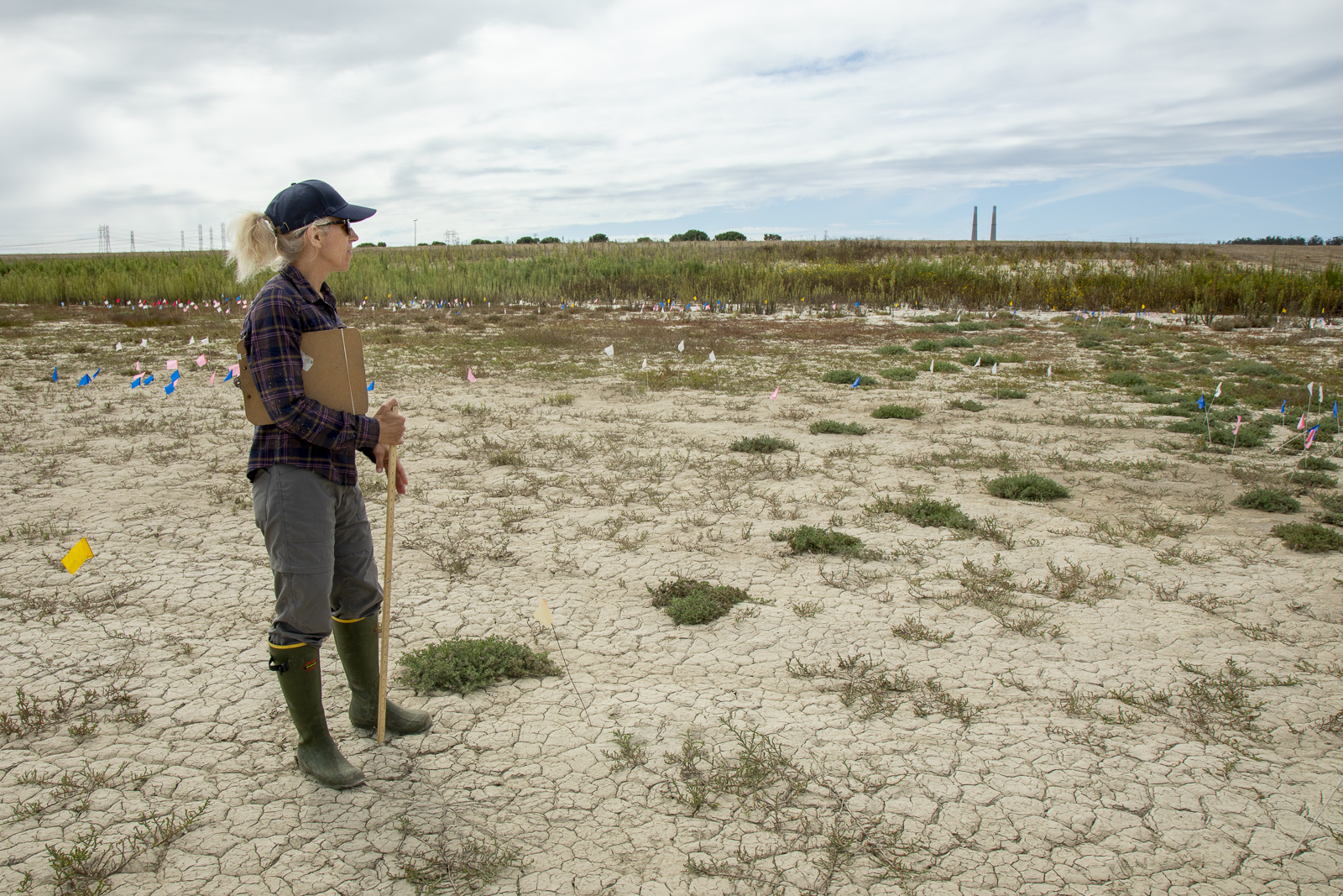 woman surveys a dry marsh