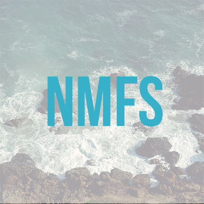 national marine fisheries service (NMFS)