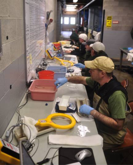 PIT tagging coho yoy at the Warm Springs Hatchery.