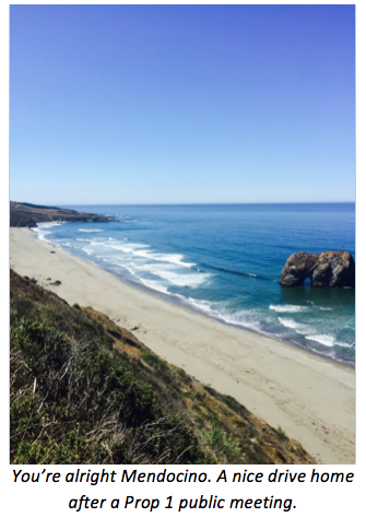 Image of the Mendocino coast