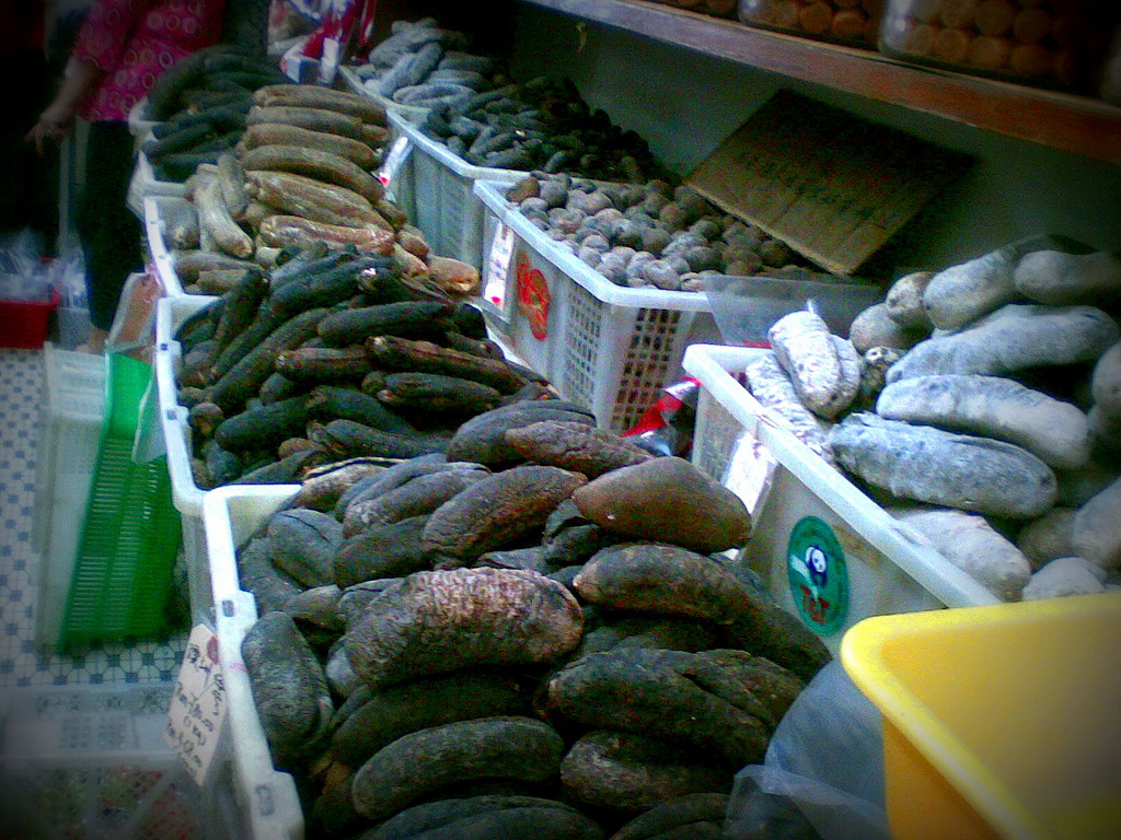 Dried sea cucumbers