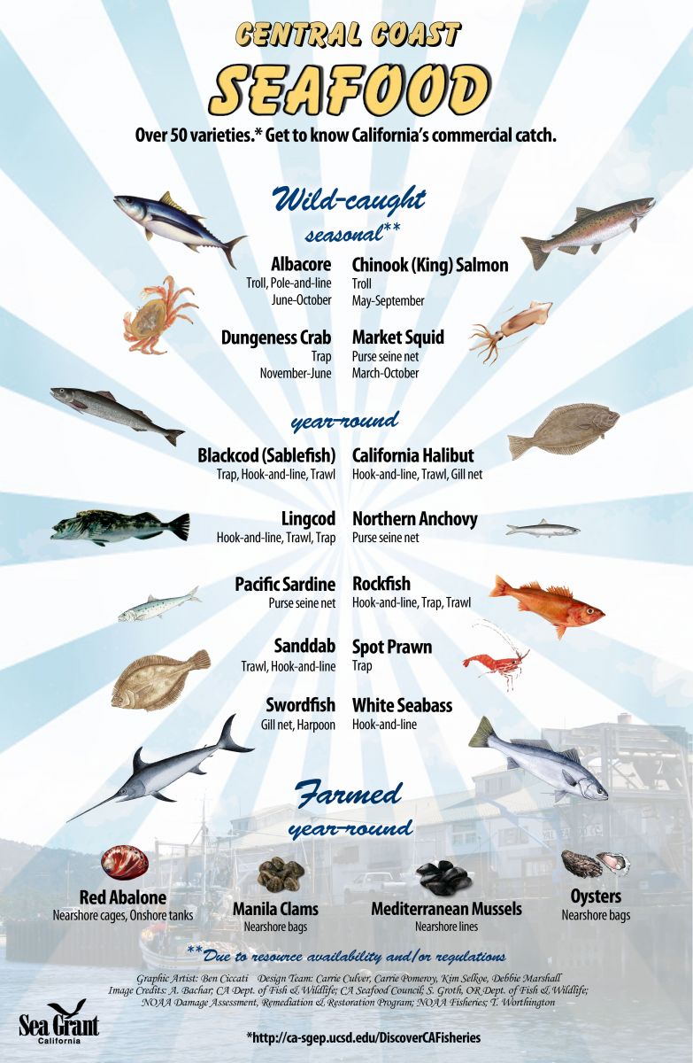 Central Coast seafood poster