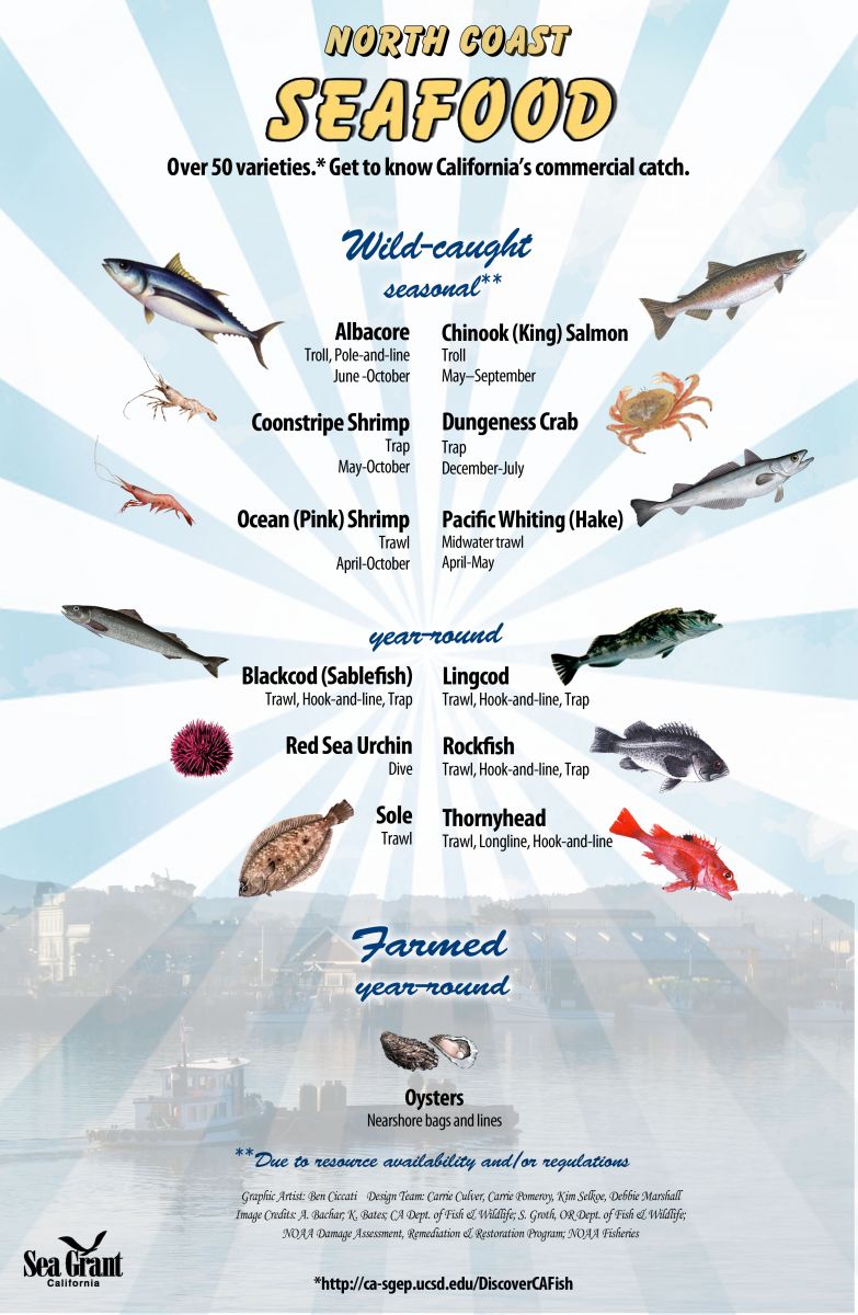 North Coast seafood poster