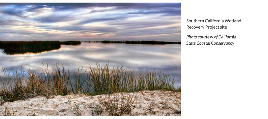 Southern California Wetland Recovery site