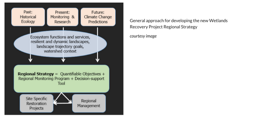 Graphic demonstrating general approach for developing the Wetlands Recovery Project Regional Strategy 