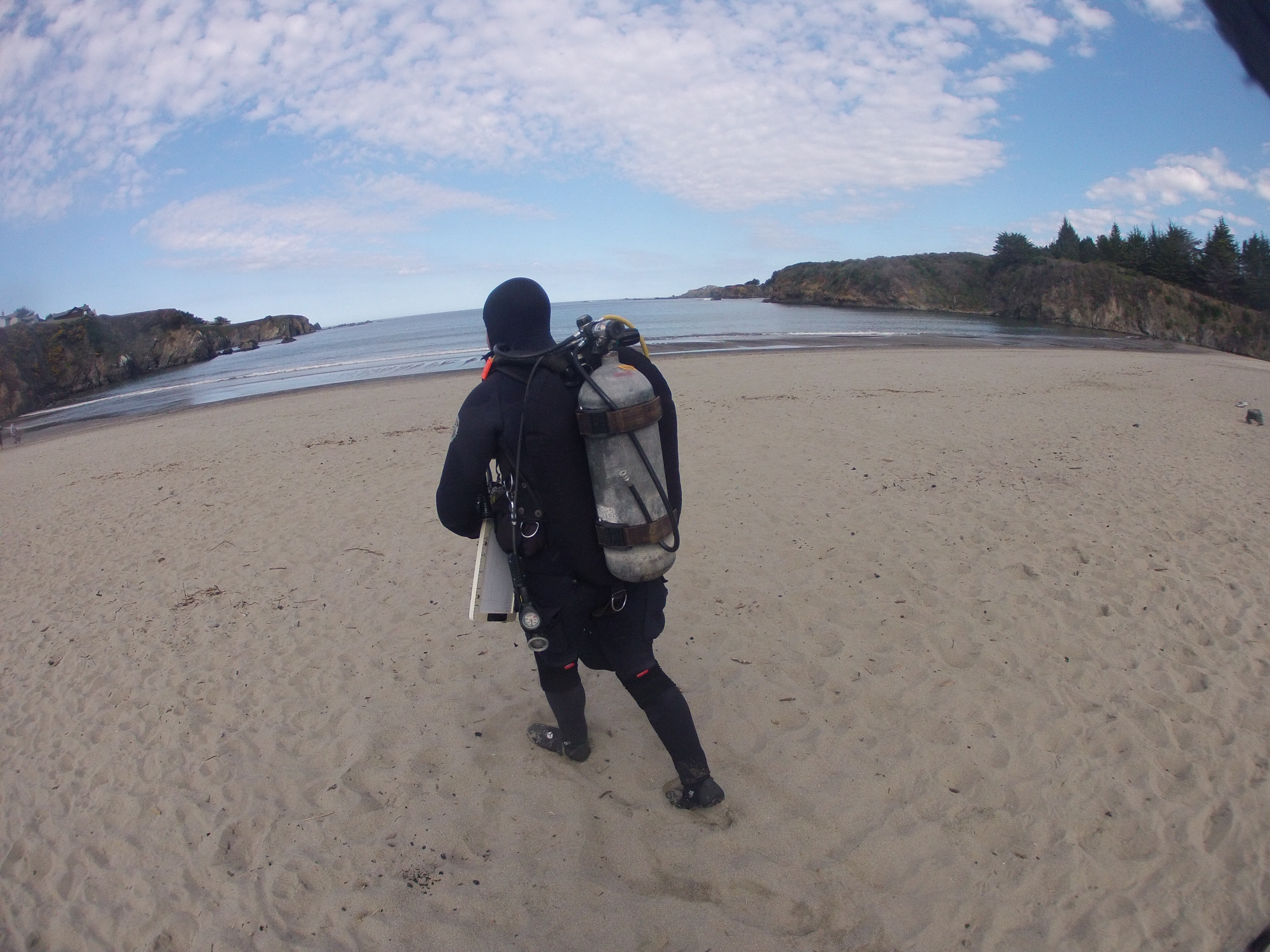 diver on the beach