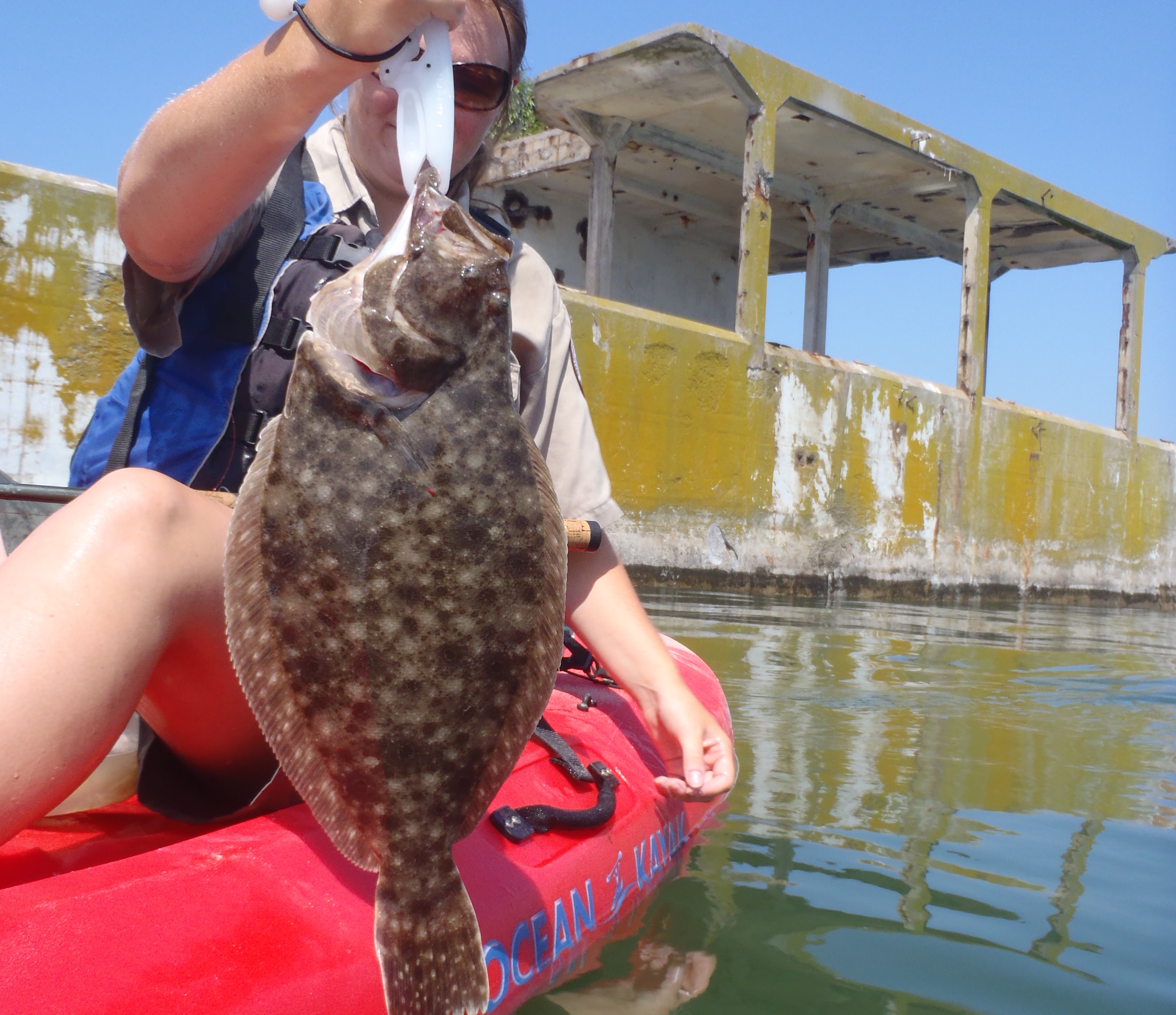 Halibut held by fisherman on kayak.