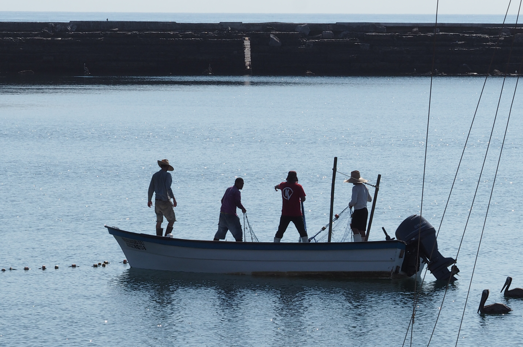 people on a boat in baja, california, mexico