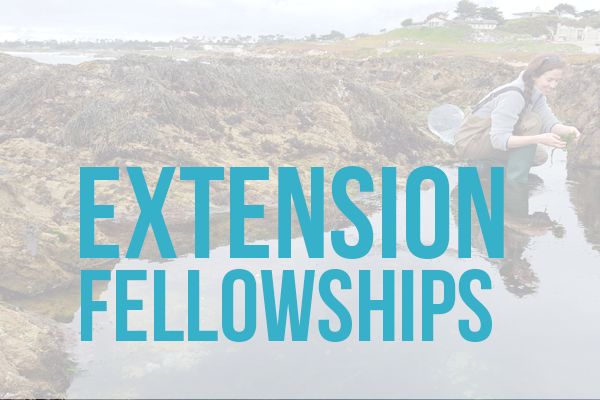 extension fellowships woman doing science