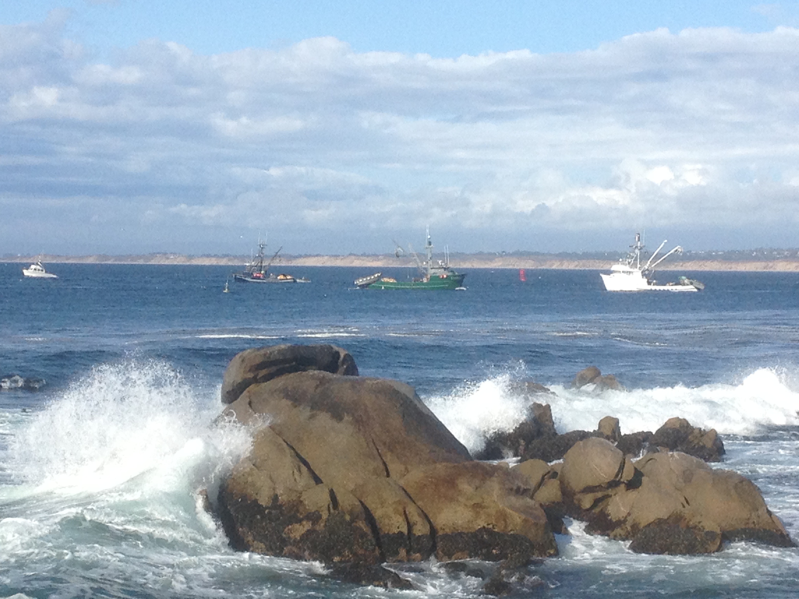 squid boats on monterey bay