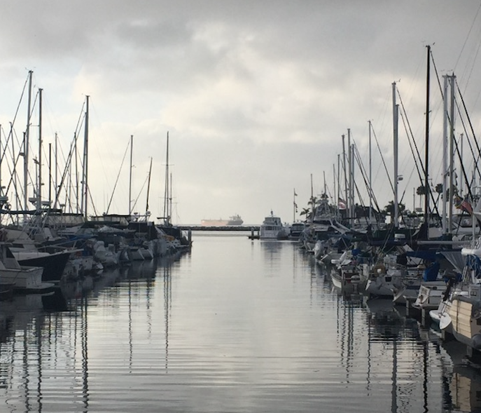 boats in a harbor