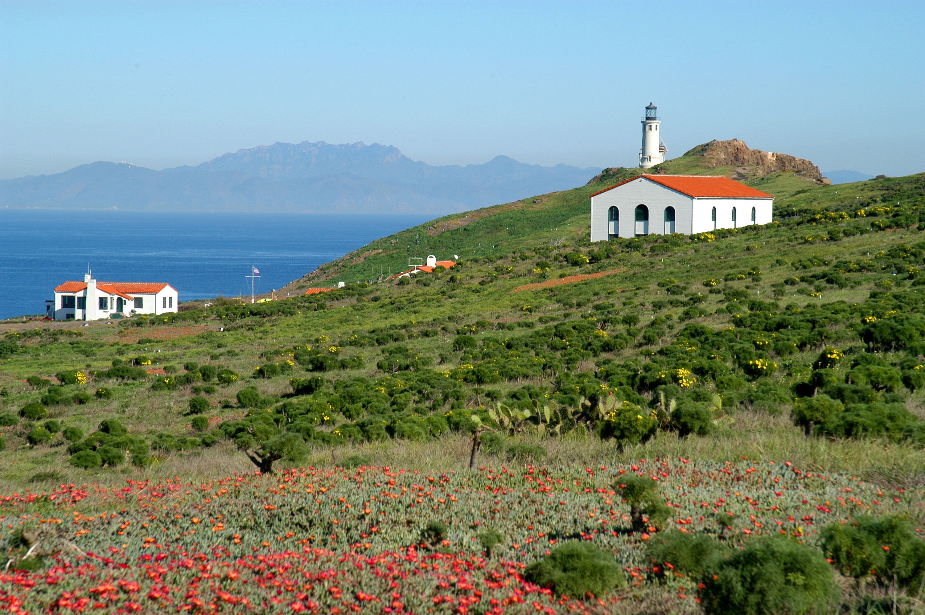 Looking over wildflowers and cactus to historic buildings and the Anacapa Island Lighthouse. Channel Islands National Marine Sanctuary, California. February 1, 2007.    Photographer: Robert Schwemmer, CINMS, NOAA