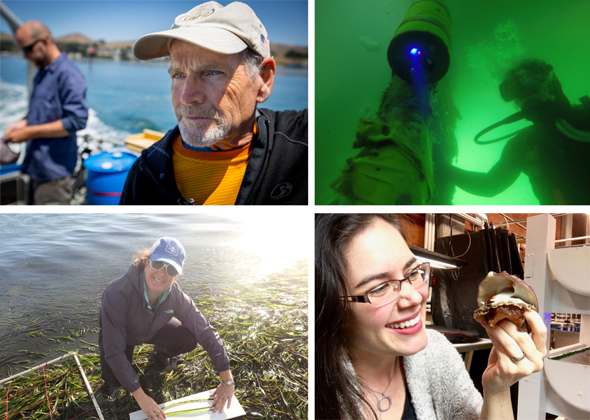 four photo collage: Clockwise from top left: Steve Morgan, Ryan Walter, Kristin Aquilino, and Jennifer O'Leary. 