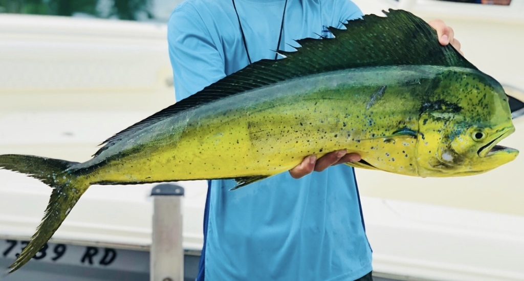 fisherman holding dorado horizontally