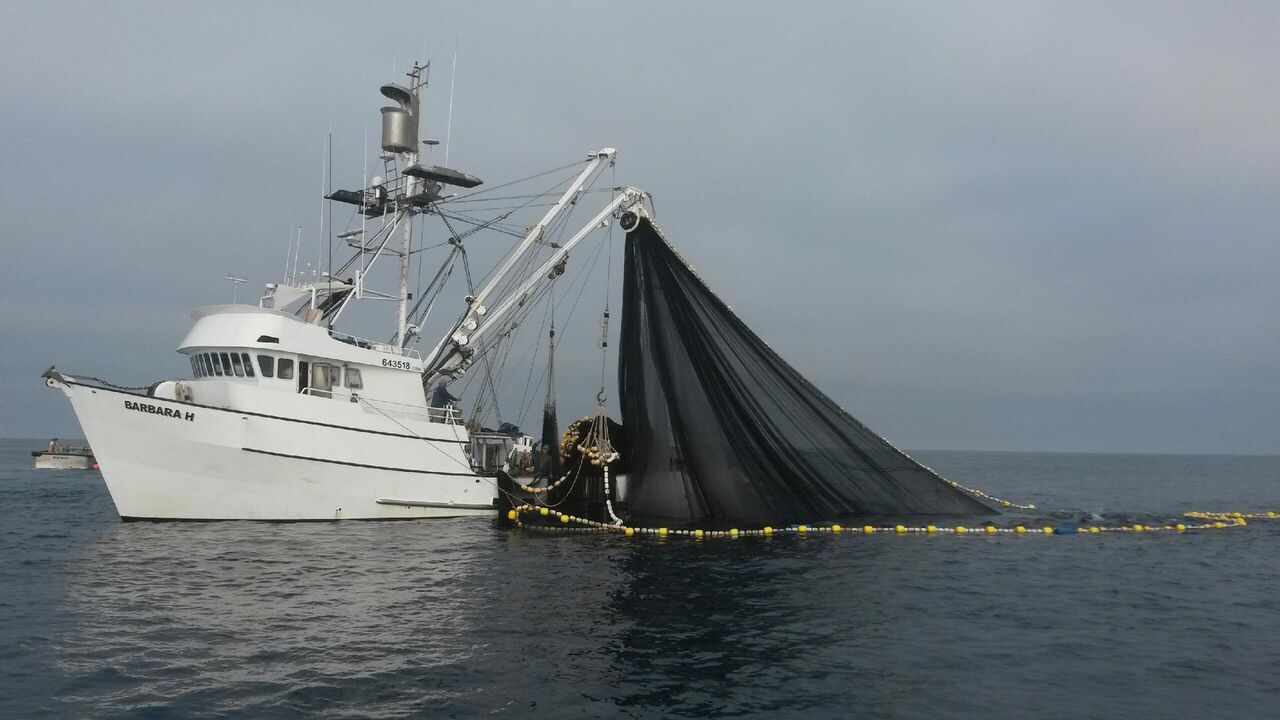 A fishing boat with net