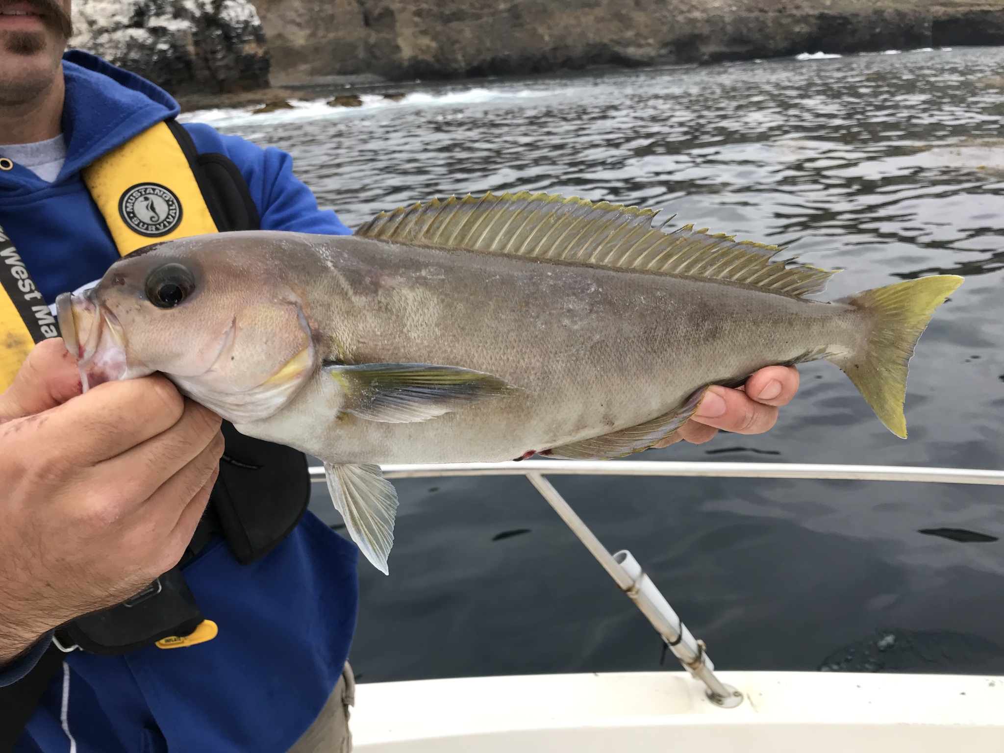 fisherman holding up an ocean whitefish with ocean in background