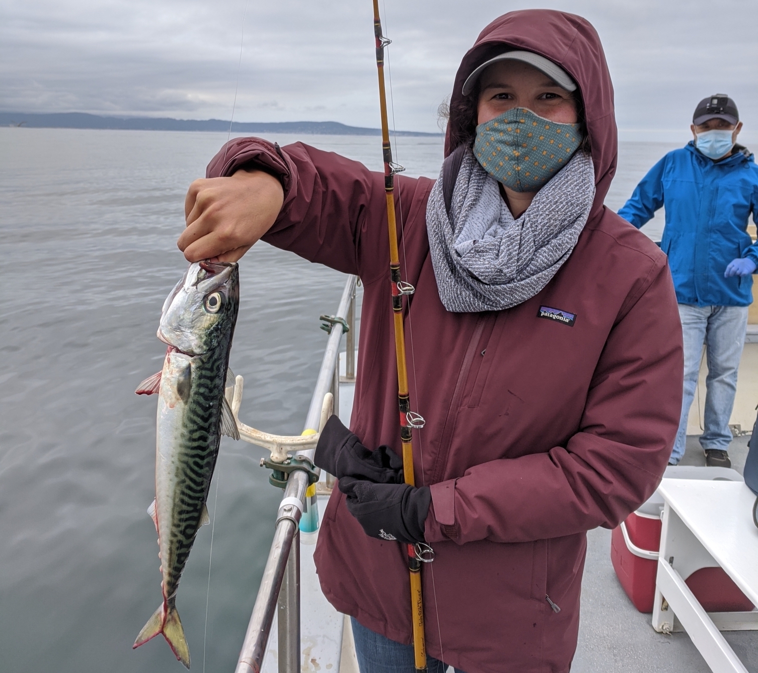 fisherman in a boat holds up a pacific mackerel and a fishing pole as another fisherman looks on