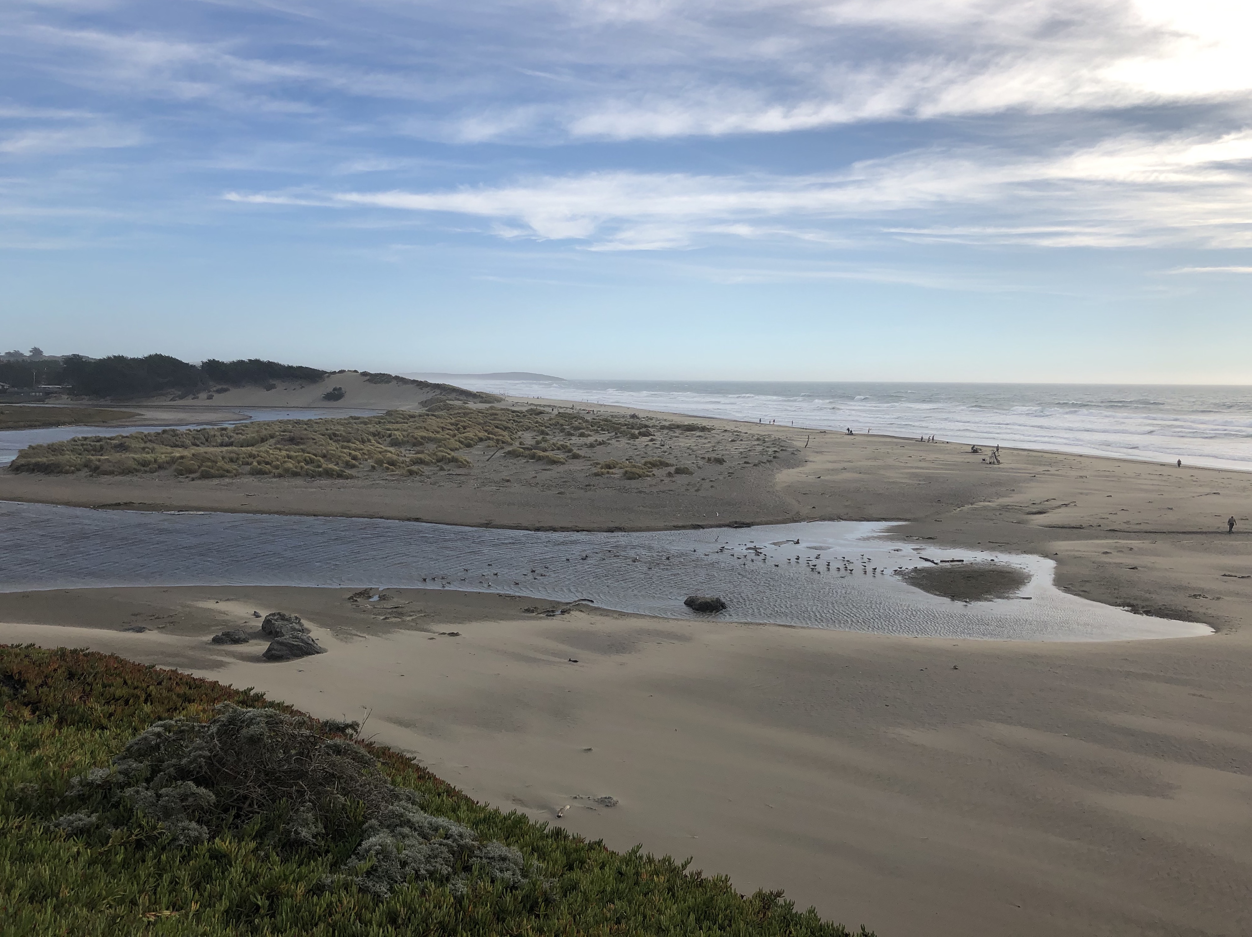 Salmon Creek Estuary.