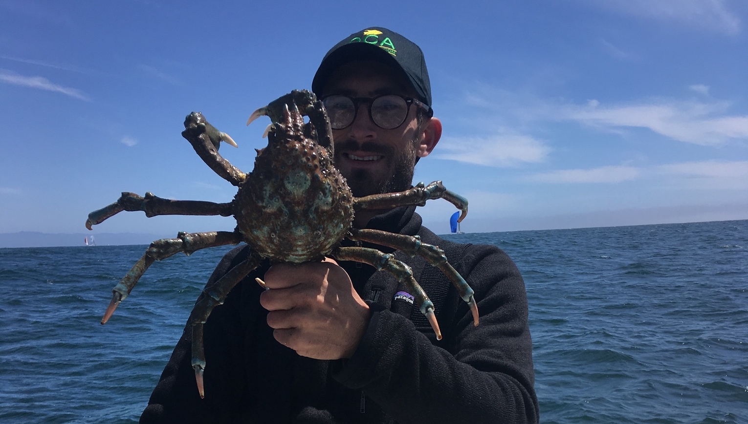 person on a boat holding a sheep crab.