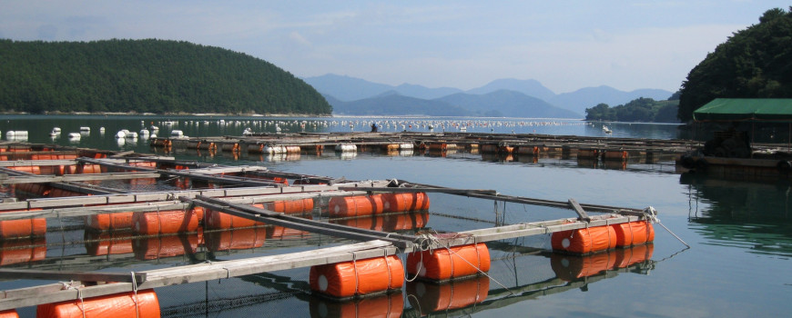 aquaculture santa barbara