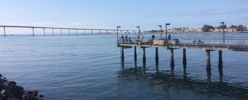 Picture of Embarcadero pier.