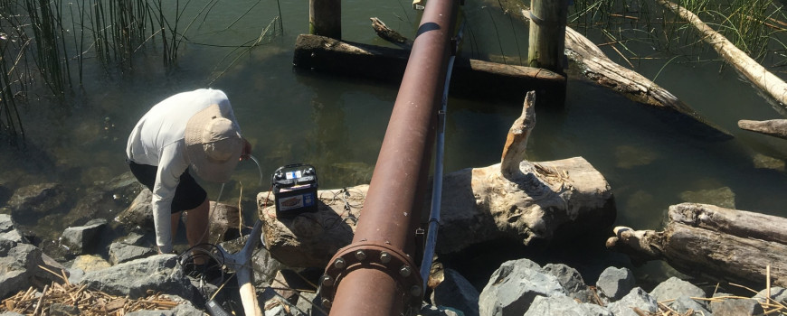 field work on the san joaquin river