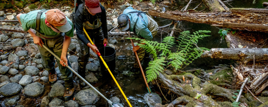 Taking samples at the creek.