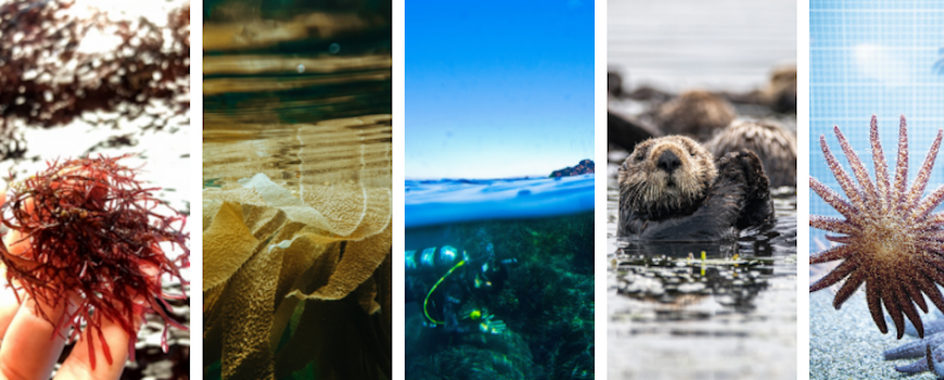 colorful header with images of marine and coastal-related science