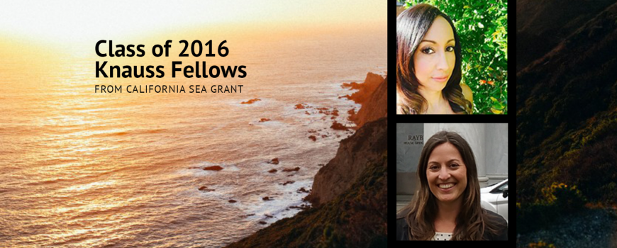 Class of 2016 Knauss Fellows