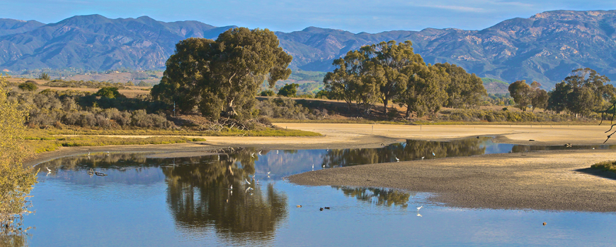 Devereux Slough, Santa Barbara