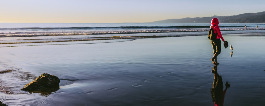 person walking on beach