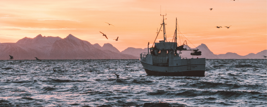 fishing boat - knut troim via unsplash