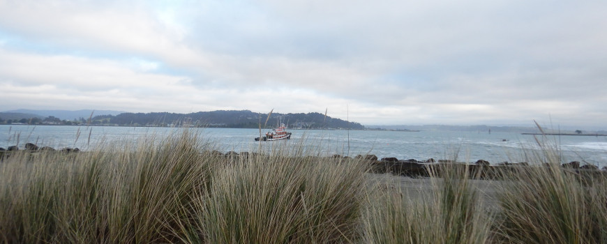 tugboat at entrance to humboldt bay