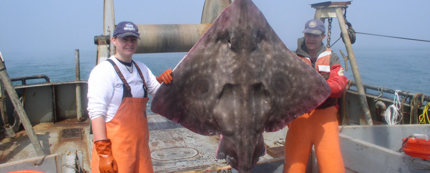 two fishers holding up a big skate