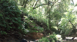 Measuring a Pool Tail Crest in Green Valley Creek. Photo by Troy Cameron.