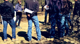 A Delta Stewardship Council focus group. The Sacramento-San Joaquin Delta is part of the largest estuary on the west coast of North and South America.