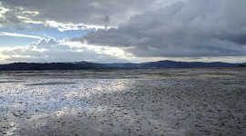 Humboldt Bay